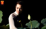Dịu dàng mùa sen Hà Nội